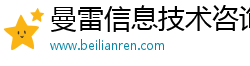 曼雷信息技术咨询
